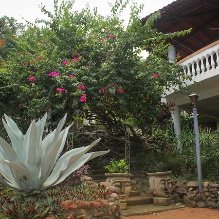 Hotel M&M Casa Blanca Playa Ocotal Экстерьер фото